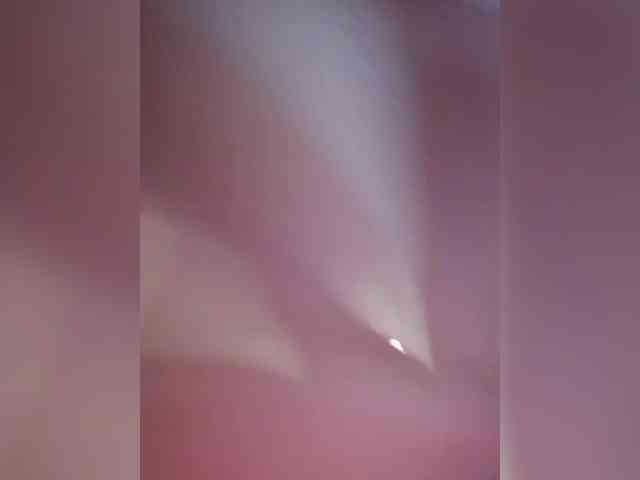bulochka733 webcam