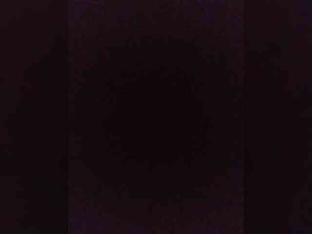 bulochka733 webcam