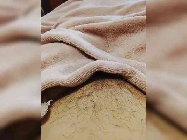 Modelo: bulochka733