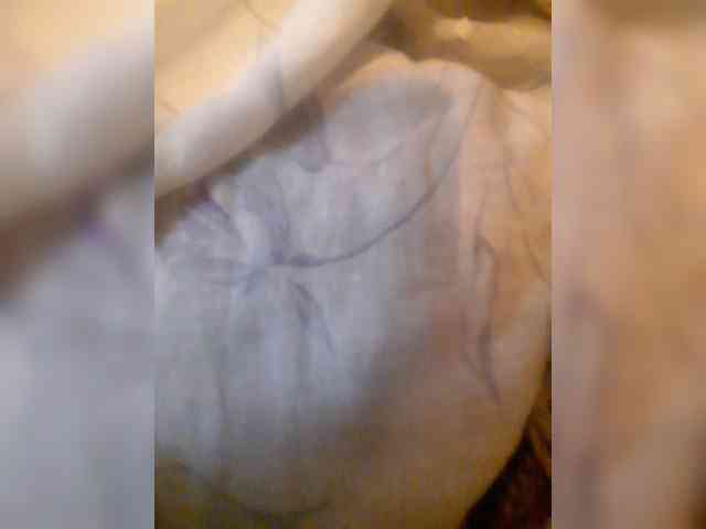 bulochka733 webcam