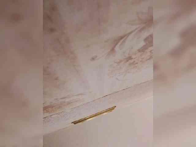 bulochka733 Sex Cam Show
