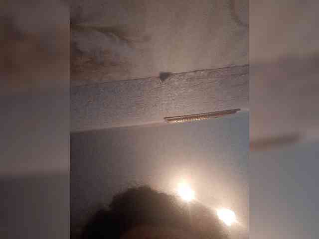bulochka733 webcam