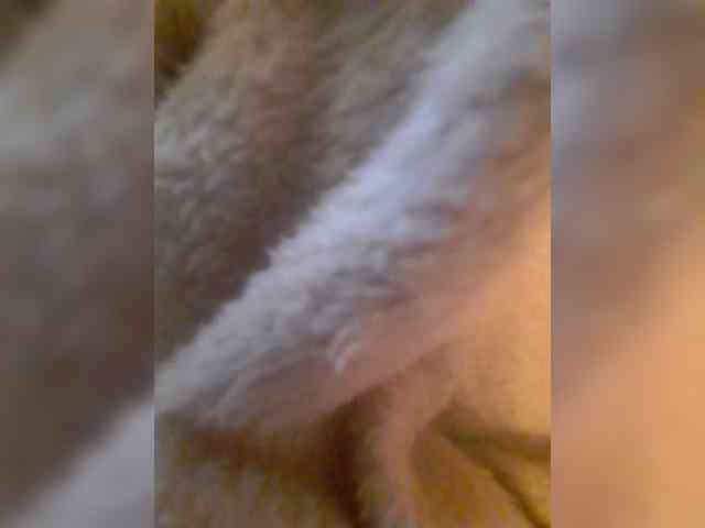 bulochka733 webcam