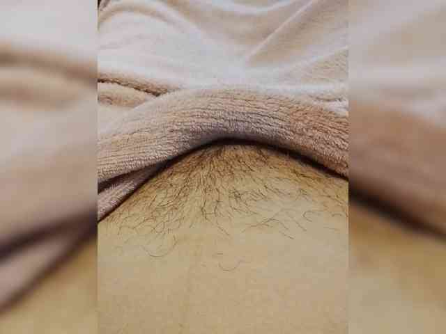 bulochka733 webcam