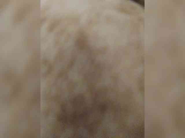 bulochka733 webcam