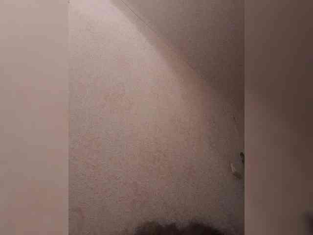 bulochka733 webcam