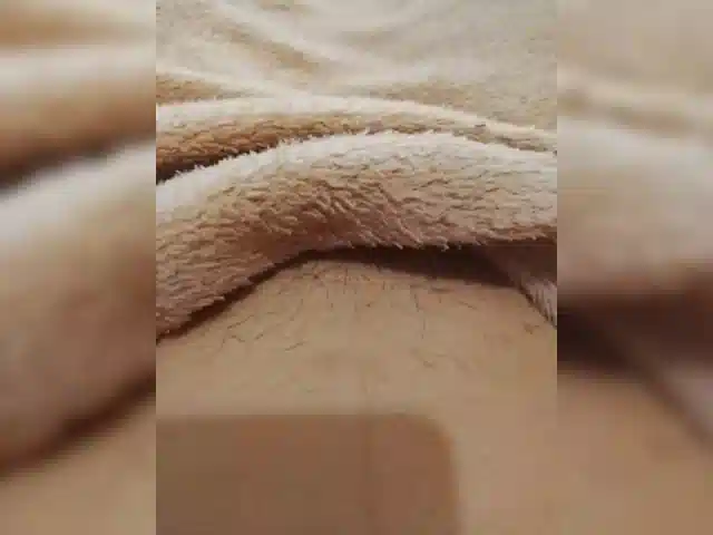 bulochka733
