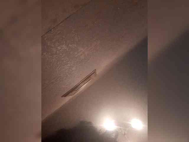 bulochka733 webcam
