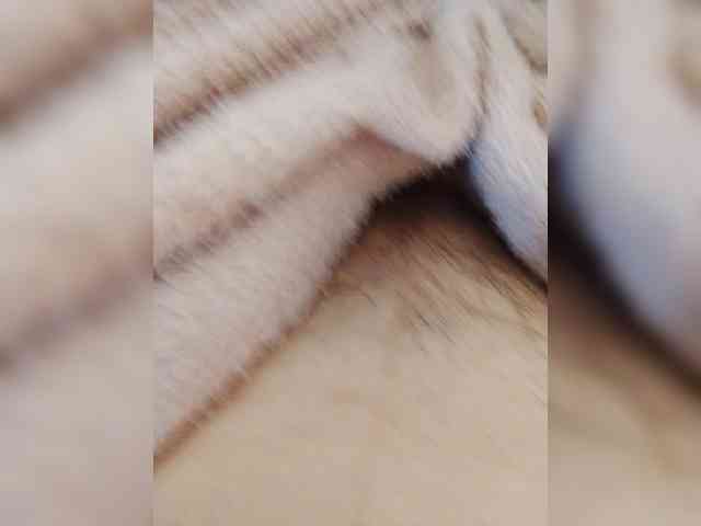 bulochka733 webcam