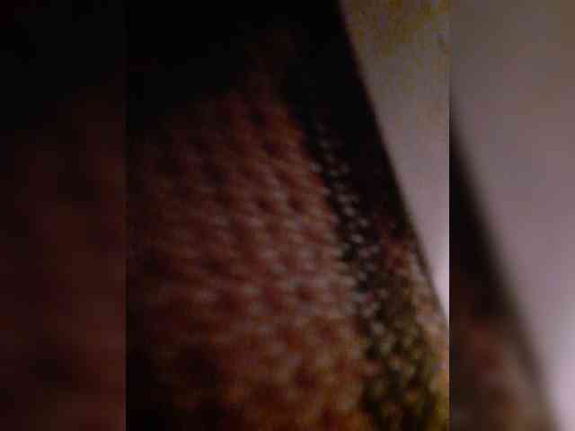 bulochka733 webcam