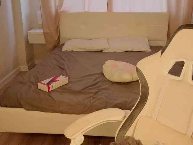 Vivien-Ross webcam