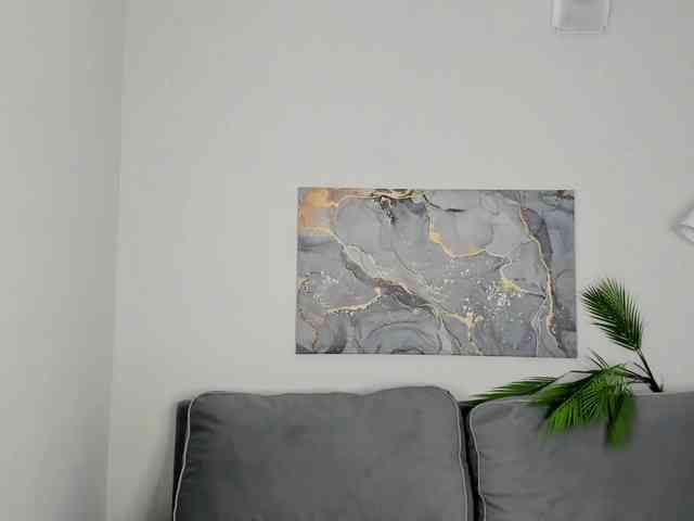 Vivien-Ross webcam