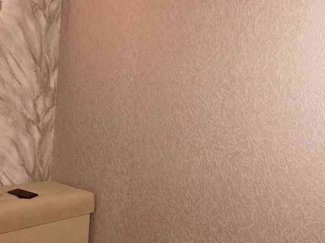 Vivien-Ross webcam