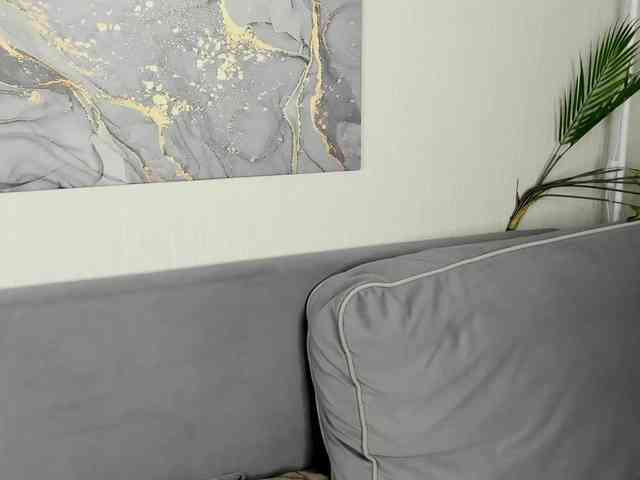 Vivien-Ross webcam