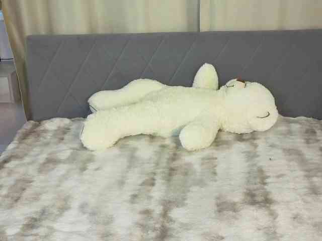 Vivien-Ross webcam