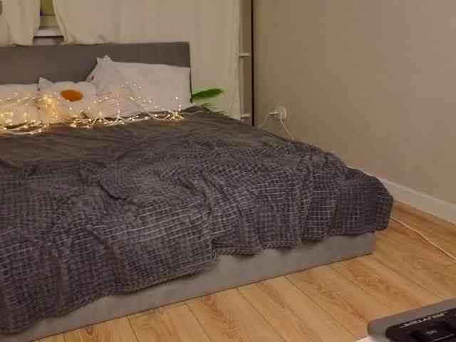 Vivien-Ross webcam