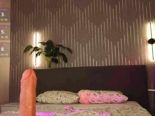 Vivien-Ross webcam