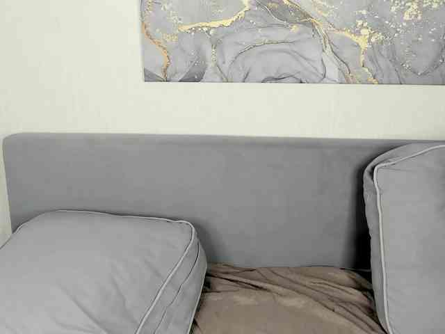 Vivien-Ross webcam