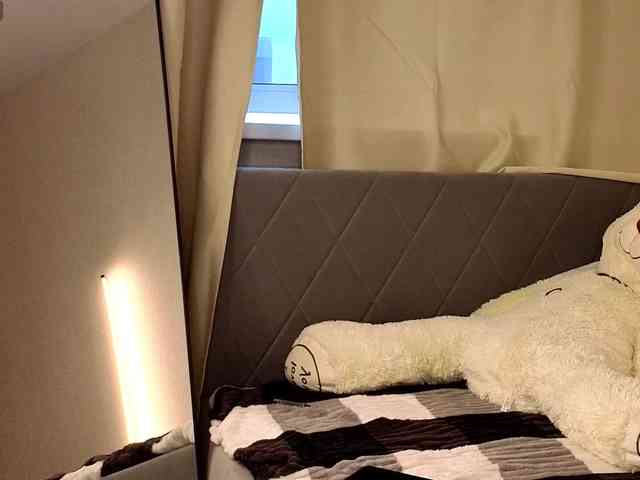 Vivien-Ross webcam
