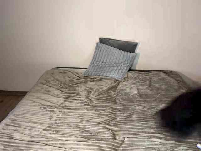 HoodKate Live Webcam on BongaCams