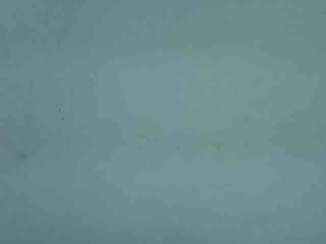 Berryjuice webcam