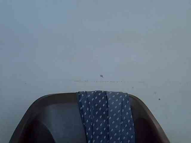 Berryjuice webcam
