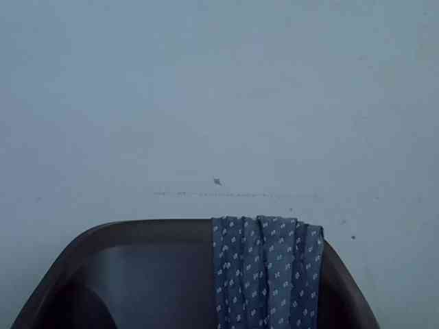 Berryjuice webcam
