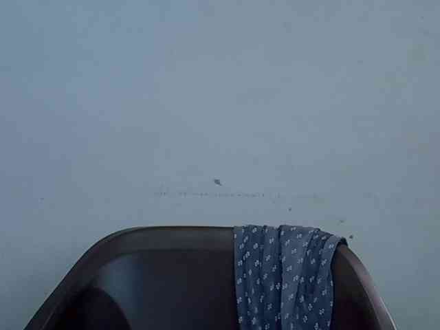 Berryjuice webcam