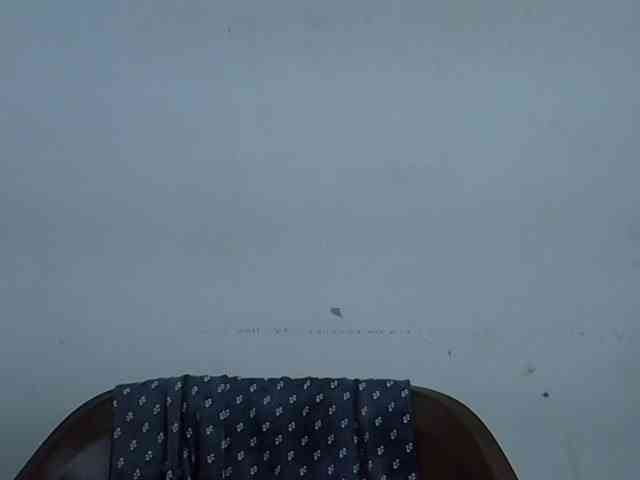 Berryjuice webcam