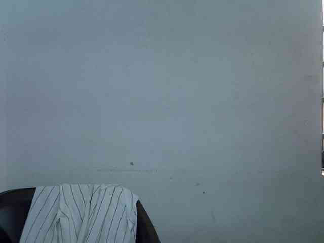 Berryjuice webcam