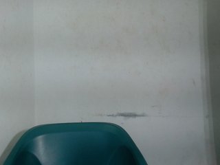 Sugarxpussy Porn Show