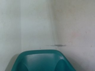 Sugarxpussy Porn Show