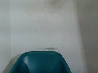 Sugarxpussy Porn Show