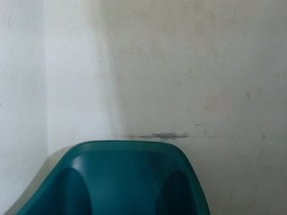 Sugarxpussy