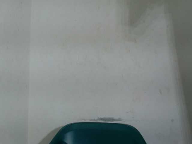 Sugarxpussy live cam on BongaCams