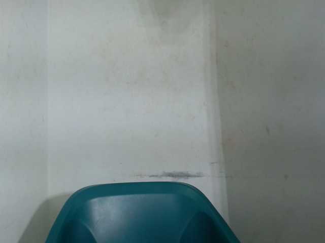 Sugarxpussy live cam on BongaCams