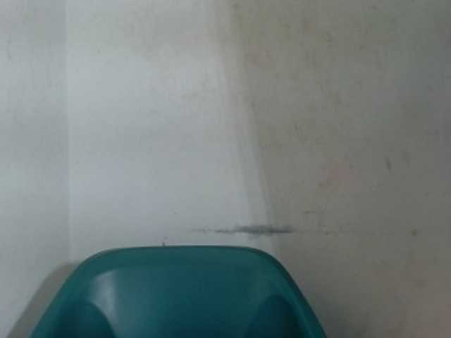 Sugarxpussy live cam on BongaCams