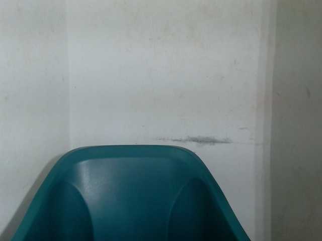 Sugarxpussy live cam on BongaCams