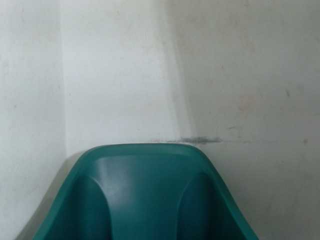 Sugarxpussy live cam on BongaCams