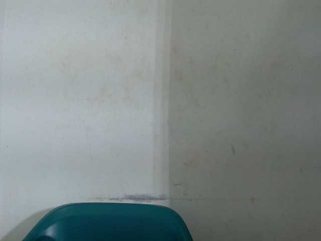Sugarxpussy live cam on BongaCams