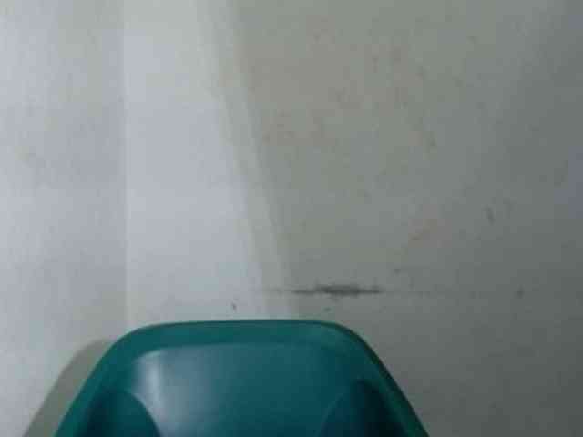 Sugarxpussy webcam