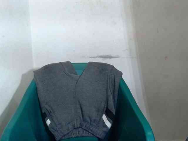 Sugarxpussy webcam
