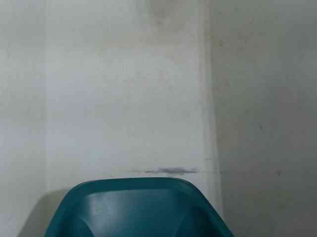 Sugarxpussy webcam