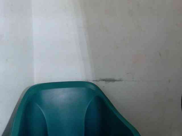 Sugarxpussy webcam
