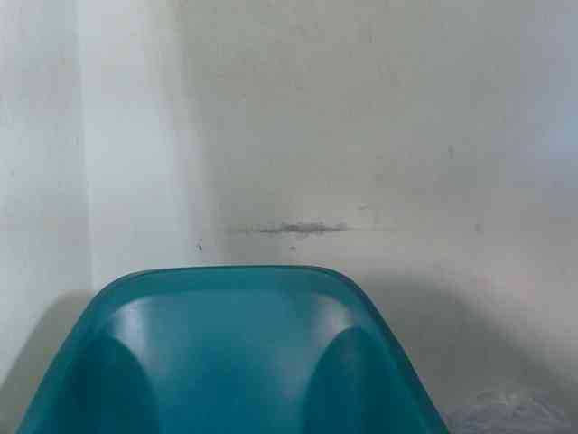 Sugarxpussy webcam