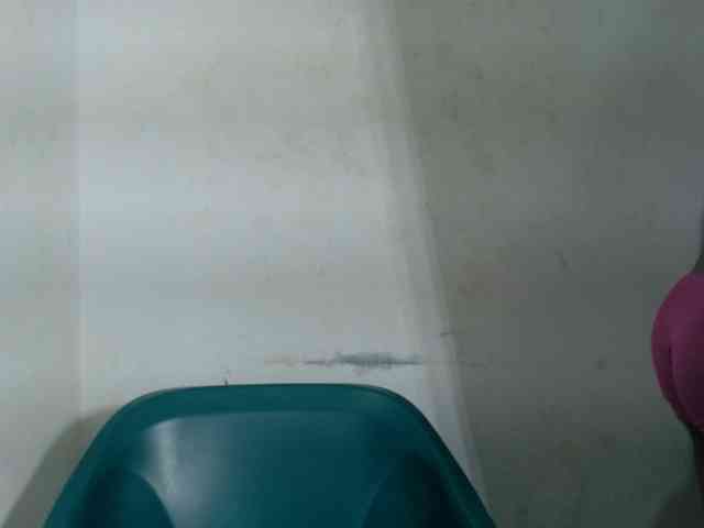 Sugarxpussy webcam