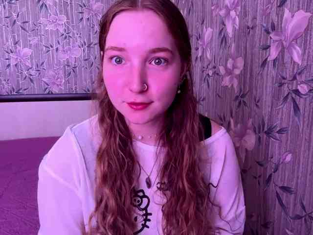 LeoSide webcam