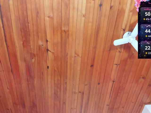 victoria-gonzales webcam