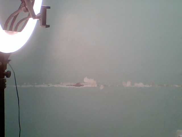 Sweet-spicydall live cam