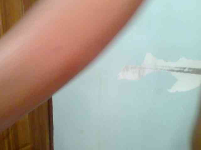 Sweet-spicydall webcam